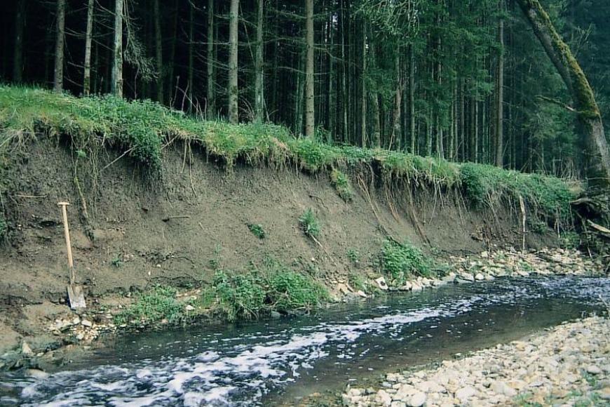Seitlicher Blick auf eine lange und hohe Uferböschung entlang eines schmalen und kiesigen Flusses. Das aufgeschlossene Bodenmaterial ist von graubrauner Farbe. Die Kuppe der Böschung ist mit dichtem Wald bestanden.