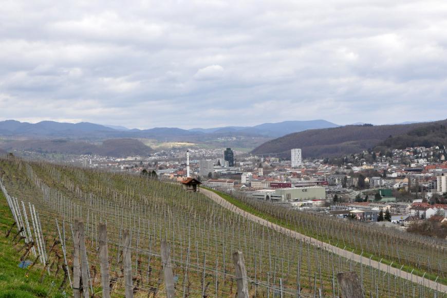 Blick auf einen nach links ansteigenden Weinberg im Vordergrund. Von rechts zieht sich eine größere Siedlung um bewaldete Höhen bis zum Hintergrund. In der Ferne sind Bergketten sichtbar.