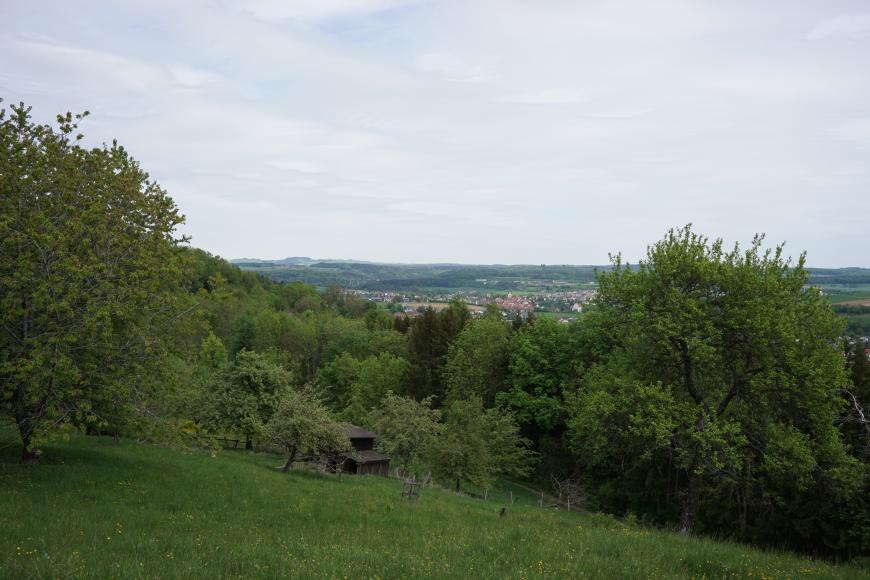 Im Vordergund befindet sich ein mit Gras und Büschen bewachsener Rutschhang. In der Ferne ist besiedelte Landschaft zu sehen.