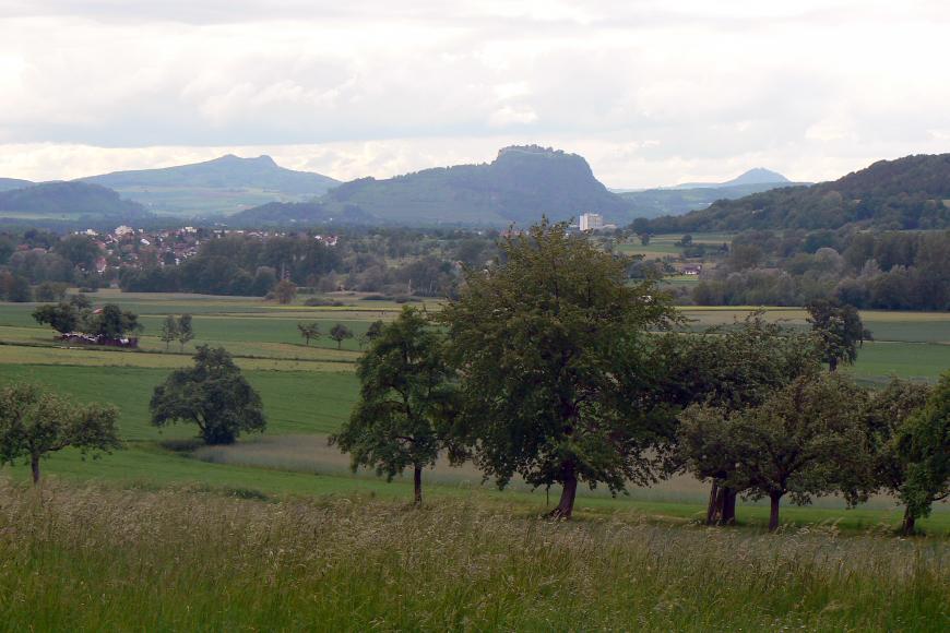 Blick über eine Wiese mit vereinzelten Bäumen auf Siedlungen und die Hegau-Vulkane.