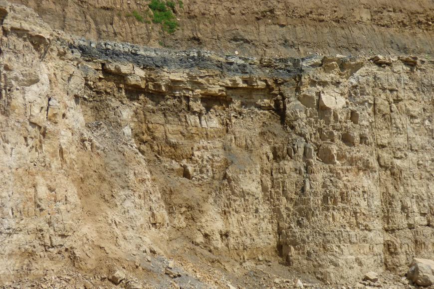 Blick auf eine Steinbruchwand aus gebanktem, gelblichen Gestein.