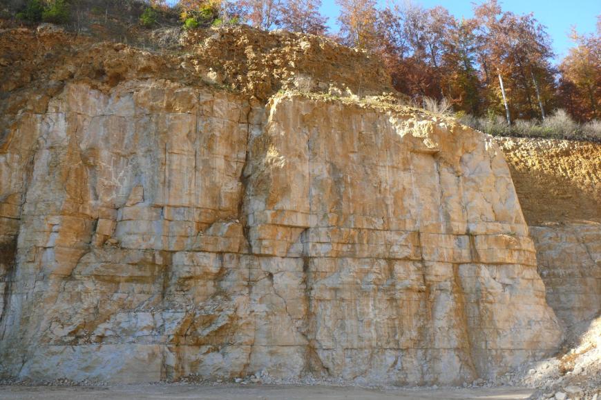 Blick auf eine mehrere Meter hohe Abbauwand in einem Steinbruch. Die unteren vier Fünftel der Wand bestehen aus quaderförmigen, hellbeige bis gelblichen Blöcken, darüber befindet sich löchriges, rostbraunes Gestein. Über der Wand wachsen Bäume.