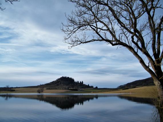 Blick auf einen ruhigen See. Im dahinter liegenden Uferbereich erhebt sich links der Bildmitte ein bewaldeter, kegelförmiger Berg. Rechts ragt ein kahler Baum ins Bild.