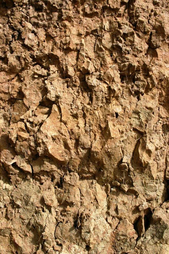 Nahaufnahme eines rötlich braunen Bodenprofils. Das Material ist von zahlreichen Rissen durchzogen und weist teilweise scharfe Kanten auf.