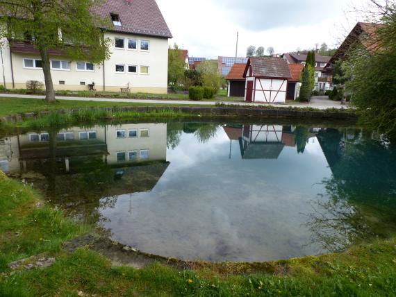 Blick auf eine rund auslaufende Wasserfläche in einem Wohngebiet.