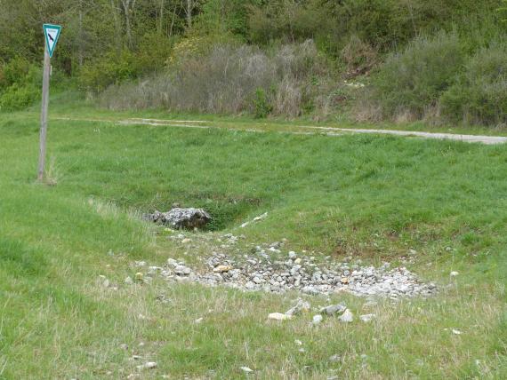 Blick auf eine grüne Wiese mit kleinem, länglichem Kiesbett, das eine ausgetrocknete Quelle kennzeichnet.