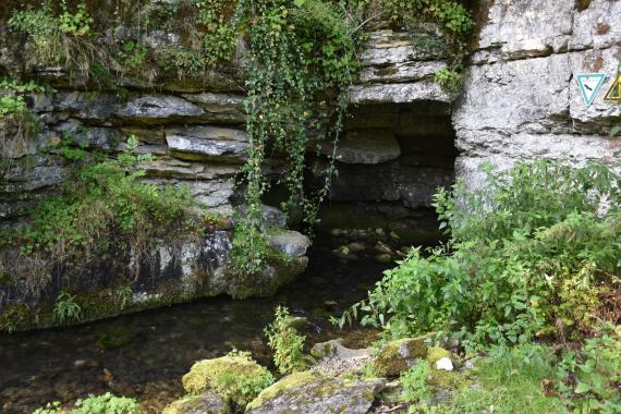 Unter einer stark bewachsenen Böschung stehen graublaue Felsen an, zwischen denen sich rechts eine kleinere Höhle gebildet hat. Ein schmaler Bach fließt daraus und über dunklem Grund auf den Betrachter zu.