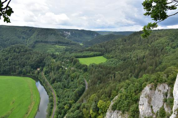 Blick aus großer Höhe über bewaldete, sich weit ausdehnende Berghänge. Links unten verläuft im Bogen die Donau, rechts vorne steigen Felskronen auf. Auch im Hintergrund, an einem der Waldhänge, sind Felsen erkennbar.