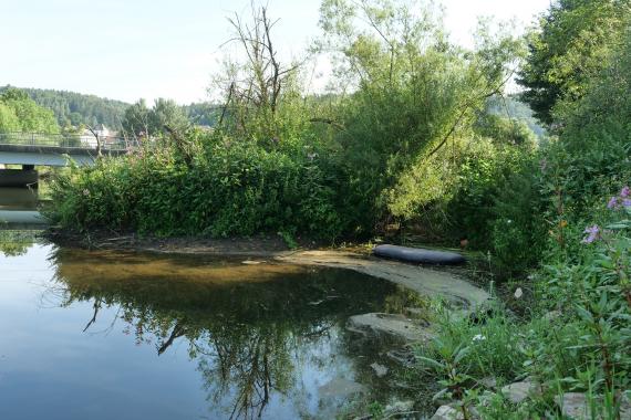 Blick auf eine Flussbiegung. Das sichtbare rechte Ufer ist stark bewachsen. Links im Hintergrund ist eine Brücke zu sehen.