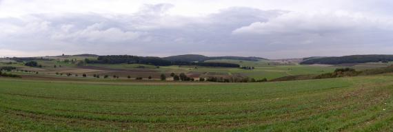 Panoramabild einer sehr welligen und hügeligen Ackerlandschaft mit Waldzungen auf den Kuppen mittig und rechts.