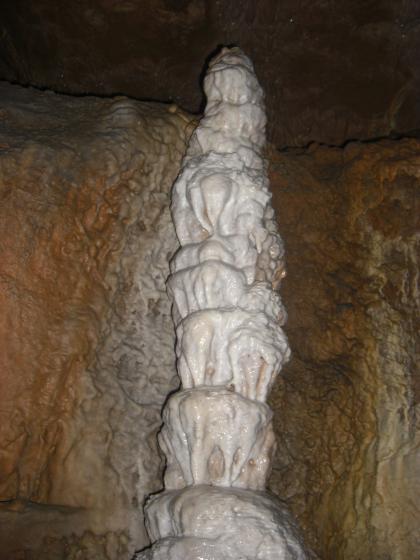 Tropfsteinsäule (Stalagmit) in der Bärenhöhle bei Sonnenbühl-Erpfingen; Foto: Gemeinde Sonnenbühl Blick in eine Höhle mit einem säulenartigen, von unten nach oben gewachsenen Tropfstein. Weißlich gefärbt, hebt er sich gut von den dunkelbraunen Höhlenwänden dahinter ab.
