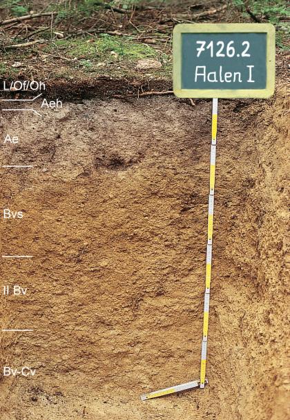 Mäßig tief entwickelter Braunerde-Podsol aus Feuersteinschutt Blick auf ein Musterprofil des LGRB unter Wald. Die sichtbare Profilwand ist graubraun bis hellbraun, in sechs Bodenhorizonte eingeteilt und 130 Zentimeter tief. Rechts oben nennt eine Tafel Nummer und Name des Profils.
