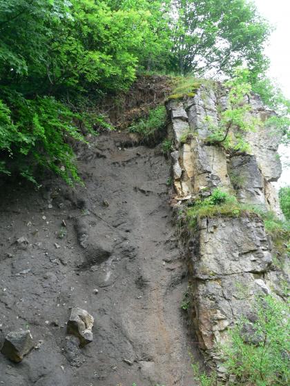 Tuffschlot bei Neuffen in Kontakt mit Oberjura-Kalkstein Hier sieht man links im Bild eine senkrecht aufragende, dunkelgraue Gesteinswand, an die sich rechts hellere Felsblöcke anlehnen. Oben ist dichter Bewuchs erkennbar, aber auch zwischen den Felsblöcken rechts sprießen Grünpflanzen.