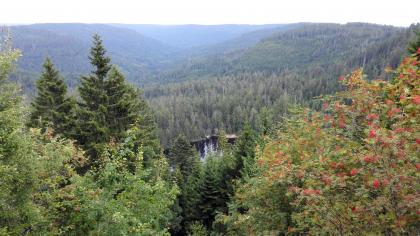 Blick vom Seekopf nach Osten ins Wildseekar Blick über Baumwipfel auf einen tief unten liegenden See. Dessen sichtbare hintere Ufer sind von dichtem Wald umgeben. Im Hintergrund liegt zwischen bewaldeten Bergen ein enges Tal.