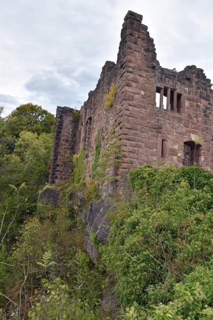 Die Mauern der Burgruine Hohenschramberg stehen auf hartem geröllführendem Sandstein des Mittleren Buntsandsteins Teilansicht einer Burgruine. Die rötlich grauen Mauern des verfallenen Gebäudes stehen auf einer Felsenbank. Diese ist stark überwachsen, die Pflanzen ranken sich auch an der Burg hinauf.