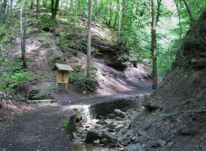 Geographischer Lehrpfad Schwälblesklinge; Foto: J. Eberle Das Foto zeigt den Verlauf eines gewundenen, von einer Schautafel links begleiteten Lehrpfades. Rechts vorne begleitet ein von Geröll gefüllter schmaler Bach den Weg, zum Hintergrund hin steigt ein bewaldeter, steiler Hang auf.