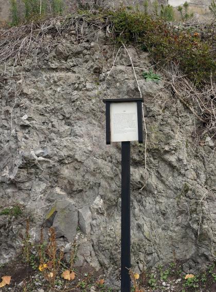 Geologischer Weinlehrpfad Achkarren – Station Tuff Blick auf eine oben rechts bewachsene Gesteinswand aus grauem Tuffgestein. Vor der Gesteinswand, die auch einige weißliche Flecken aufweist, steht eine Infotafel.