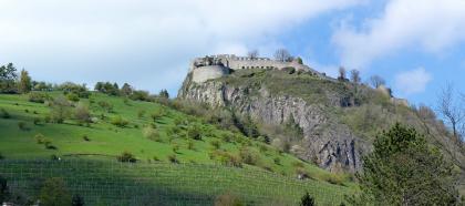 Der Hohentwiel bei Singen Hinter einem nach rechts abfallenden grünen Hügel, der teils mit Bäumen bestanden, teils mit Rebstöcken bepflanzt ist, erhebt sich rechts ein länglicher Felsenberg. Auf der flachen Kuppe des Berges erstreckt sich eine Burgruine.