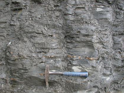 Tonstein der Opalinuston-Formation in einer Tongrube bei Weilen unter den Rinnen (westliches Albvorland) Blick auf eine graue Gesteinswand mit waagrecht verlaufenden feinen Furchen und Scherben. Unten mittig zeigt ein Hammer die Größenverhältnisse an.
