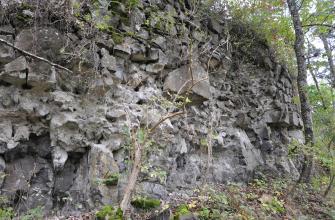 Blick auf eine bröckelig wirkende Mauer aus grauen, unregelmäßig geformten Steinen und Felsstücken. Die Mauer ist von Bäumen und Sträuchern umgeben.