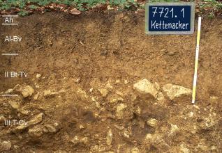 Das Foto zeigt ein Bodenprofil unter Wald. Es handelt sich um ein Musterprofil des LGRB. Das vier Horizonte umfassende Profil ist über 80 cm tief.