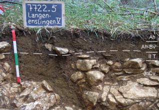 Das Foto zeigt ein Bodenprofil unter Wald. Es handelt sich um ein Musterprofil des LGRB. Das vier Horizonte umfassende, mit Gestein durchsetzte Profil ist über 60 cm tief.