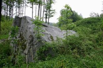 Blick auf einen großen grauen Steinblock, der inmitten eines dicht bewachsenen Hanges liegt. Im Hintergrund rechts ist hinter Bäumen ein Gebäude erkennbar.
