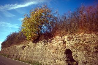Das Bild zeigt eine Straßenböschung, die sich in perspektivischer Ansicht nach links verkleinert. Die Böschung besteht aus verwittertem Gestein, die Kuppe ist mit Bäumen und Sträuchern bewachsen.