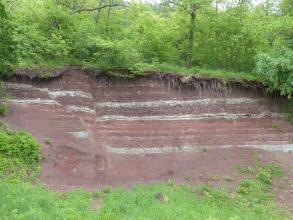 Blick auf einen Gesteinsaufschluss an einem Waldhang. Die hohe, rötlich graue Gesteinswand fällt nach rechts hin etwas ab. Oben und unterhalb der Bildmitte verlaufen mehrere waagrechte weißliche Streifen.