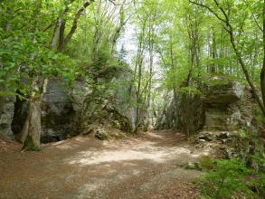 Das Bild zeigt eine von mittelhohen Felswänden gebildete, bewaldete Schlucht. Ein Waldpfad führt in einem Bogen auf den Betrachter zu. Links weist das Gestein knollige Auswüchse und Bemoosung auf, rechts steht eine Art Nase hervor.