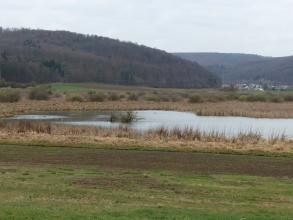 Blick auf eine schmale, längliche graue Wasserfläche, die von einem Schilfgürtel umgeben ist. Dahinter folgen Gebüsch, Wiesen, Äcker und bewaldete Berge. Im Vordergrund flache braune Äcker und Wiesen.
