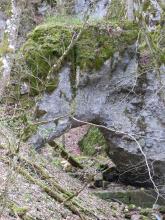 Das Bild zeigt eine hohe graue Felswand mit einem eckigen Durchlass unten links. Die Wand stützt sich an einen von links nach rechts unten abfallenden Steilhang mit dünnen Bäumen. Die Kuppe des Felsens ist stark bemoost.