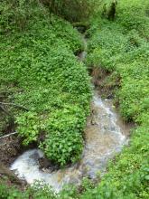 Blick von oben auf einen vom oberen Bildrand kommenden, unten einen Bogen nach links beschreibenden Bach mit anschließendem Wasserfall. Die Ufer sind rundum mit Grünpflanzen bedeckt.