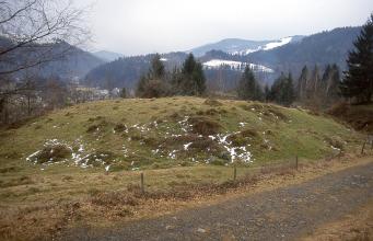 Blick auf eine runde, höckerartige Erhebung, die entlang eines Weges verläuft. Hinter dem begrünten Hügel sind mehrere Nadelbäume, verschneite Berge sowie links hinten eine Stadt zu erkennen. 
