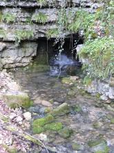 Unter einer grauen, mit Farnen, Moos und Ranken bewachsenen Felswand öffnet sich eine kleine, viereckige Höhle. Aus ihr entspringt ein klarer Bach.