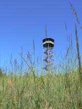 Hinter hochstehenden Grünpflanzen ist ein Aussichtsturm erkennbar. Das Turmgerüst ist offen, innen führt eine Treppe hinauf zur überdachten Kanzel.