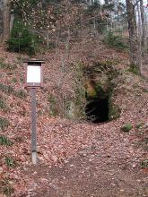 Blick auf einen alten, in einen Waldhang eingelassenen Stolleneingang. Welkes Laub umgibt Eingang und Böschung des Hanges.