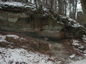 Seitenansicht eines nach rechts leicht abfallenden Waldhanges mit offener Gesteinsschicht. Der Hang ist teilweise verschneit.