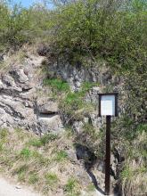 Geologischer Weinlehrpfad Achkarren – Station Monchiquit Blick auf einen stark zugewachsenen Gesteinshang. Links ist das Gestein im Sonnenlicht weißlich grau, rechts ist es durch Schatten dunkler. Rechts ist zudem eine Infotafel aufgestellt.