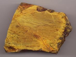 Nahaufnahme eines fast quadratischen Gesteinsbrockens mit glatter Oberfläche und teils gezackten Rändern. Das Gestein ist goldfarben mit rötlich braunen Streifen und Flecken.