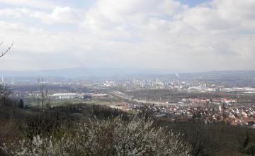 Über blühende Baumspitzen im Vordergrund blickt man auf ausgedehnte, in einer Ebene liegende Siedlungsflächen. Im dunstigen Hintergrund sind Bergketten erkennbar.
