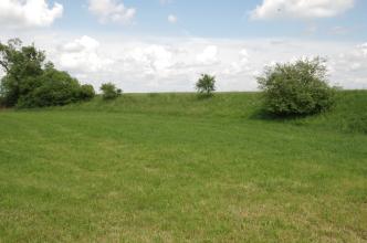 Terrassenstufe in der Donauaue Blick auf eine grüne Wiese mit rechts angrenzendem, begrüntem Damm. Ein paar Büsche und Bäume sind auf dem Damm verteilt.