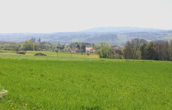 Blick über grüne Wiesen auf tieferliegende Baum- und Waldstreifen. Links sind die Türme einer Kirche zu erkennen. Im Hintergrund eine wieder ansteigende, zum Teil bewaldete Landschaft.