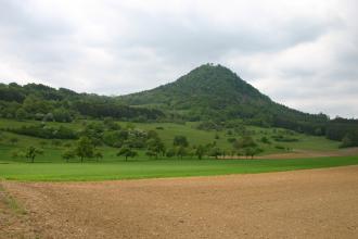 Blick über Äcker und Wiesen mit vereinzelten Bäumen auf einen bewaldeten Vulkankegel.