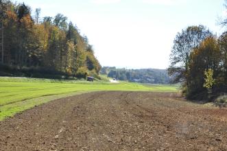 Blick auf eine im Bogen nach rechts führende Ackerfläche. Daran angrenzend folgen Wiesen, links zudem, nach einer Straße, ein bewaldeter Hang.