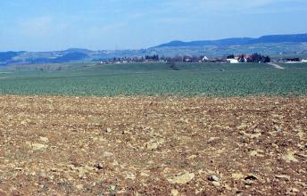 Über eine steinbedeckte Ackerfläche im Vordergrund geht der Blick zu stufigem, immer weiter ansteigendem Gelände bis zu bewaldeten Höhen im Hintergrund.