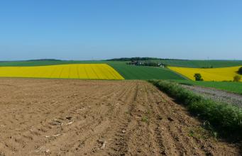 Das Bild zeigt im Vordergrund einen hoch gelegenen, rechts von einem Weg begrenzten flachen braunen Acker. Dahinter schließen sich gewellte, grün und gelb gefärbte Ackerflächen an. 