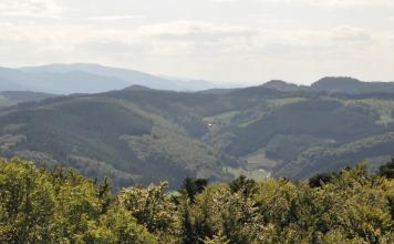 Blick über Baumwipfel auf ineinander verzahnte, bewaldete Berge. Im Hintergrund links sind weitere, entferntere Höhen erkennbar.