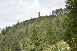 Aufwärts gerichteter Blick auf einen leicht gerundeten, nach rechts aufsteigenden bewaldeten Bergrücken. Oberhalb der Bildmitte, am Rand der Bergkuppe, steht ein Aussichtsturm.