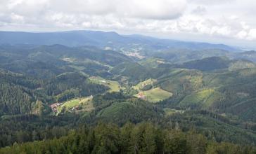 Blick aus großer Höhe auf zahlreiche bewaldete Berge, die bis zum Horizont reichen. Dazwischen, an den Hängen und in tieferen Lagen, finden sich baumlose, besiedelte Flächen.